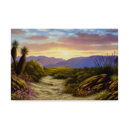 Anthony Casay 'Desert Scene' Canvas Art,30x47